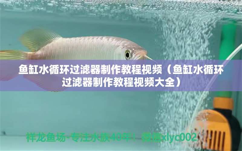 魚缸水循環(huán)過濾器制作教程視頻（魚缸水循環(huán)過濾器制作教程視頻大全） 其他品牌魚缸