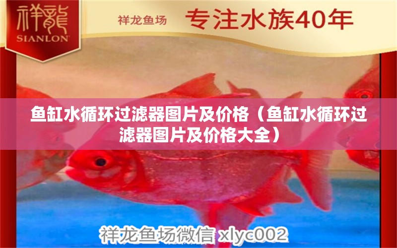 魚缸水循環(huán)過濾器圖片及價格（魚缸水循環(huán)過濾器圖片及價格大全）