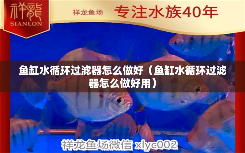 魚缸水循環(huán)過濾器怎么做好（魚缸水循環(huán)過濾器怎么做好用） 其他品牌魚缸