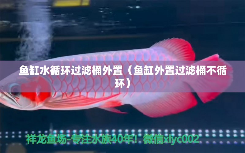 魚缸水循環(huán)過濾桶外置（魚缸外置過濾桶不循環(huán)）