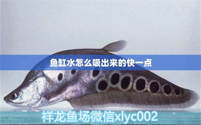 魚(yú)缸水怎么吸出來(lái)的快一點(diǎn) 水族問(wèn)答