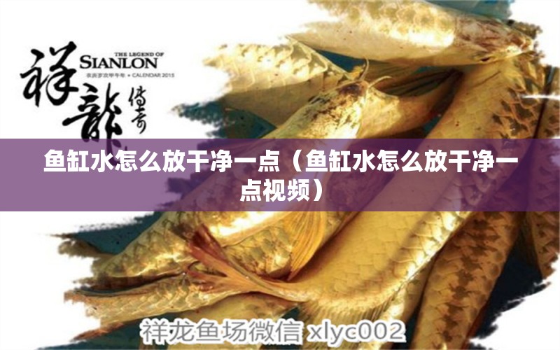 魚缸水怎么放干凈一點(diǎn)（魚缸水怎么放干凈一點(diǎn)視頻） 水族維護(hù)服務(wù)（上門）