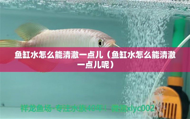 魚缸水怎么能清澈一點兒（魚缸水怎么能清澈一點兒呢） 錦鯉飼料