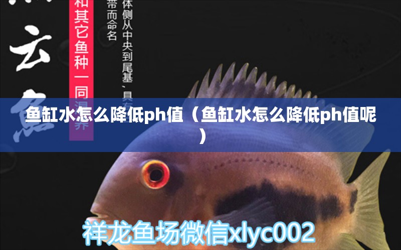 魚缸水怎么降低ph值（魚缸水怎么降低ph值呢）