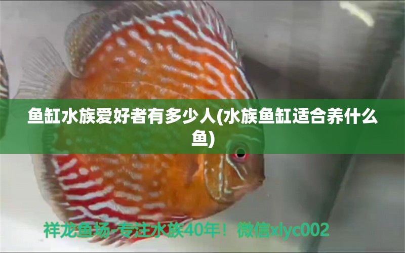 魚缸水族愛好者有多少人(水族魚缸適合養(yǎng)什么魚) 綠皮辣椒小紅龍