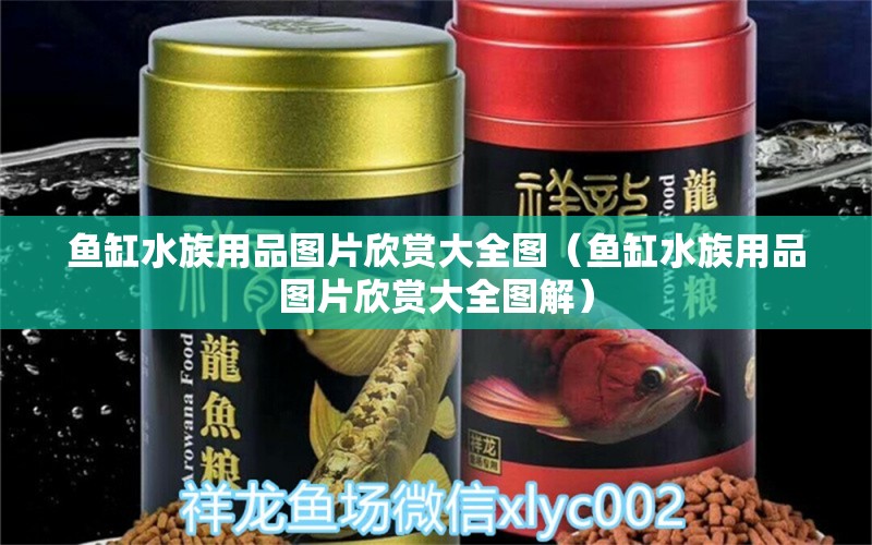 魚缸水族用品圖片欣賞大全圖（魚缸水族用品圖片欣賞大全圖解）