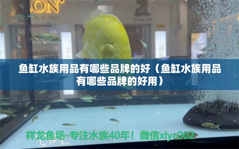 魚缸水族用品有哪些品牌的好（魚缸水族用品有哪些品牌的好用） 水族用品