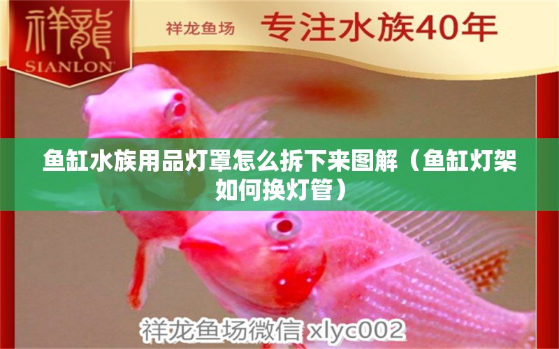 魚(yú)缸水族用品燈罩怎么拆下來(lái)圖解（魚(yú)缸燈架如何換燈管） 帝王迷宮 第2張