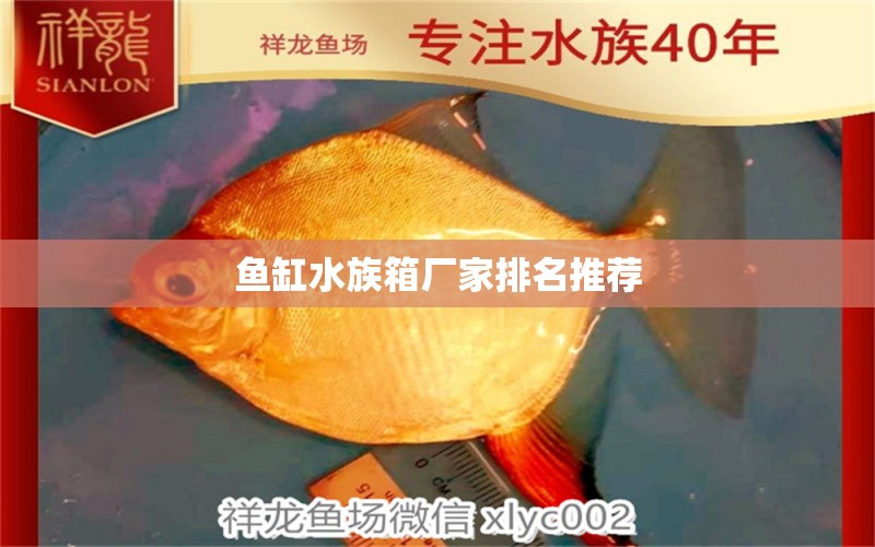 魚缸水族箱廠家排名推薦 魚缸/水族箱