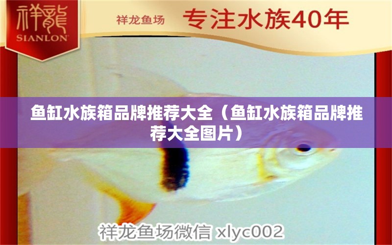 魚缸水族箱品牌推薦大全（魚缸水族箱品牌推薦大全圖片） 魚缸/水族箱