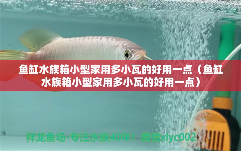 魚缸水族箱小型家用多小瓦的好用一點（魚缸水族箱小型家用多小瓦的好用一點） 魚缸/水族箱