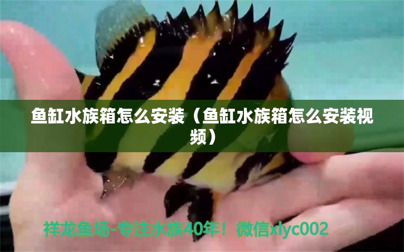 魚缸水族箱怎么安裝（魚缸水族箱怎么安裝視頻）