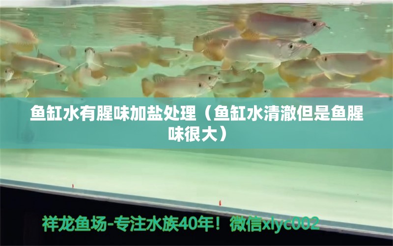 魚缸水有腥味加鹽處理（魚缸水清澈但是魚腥味很大）