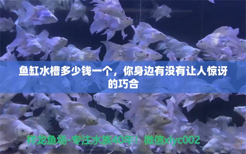 魚缸水槽多少錢一個(gè)，你身邊有沒有讓人驚訝的巧合 養(yǎng)魚的好處