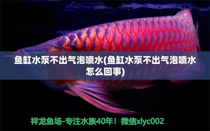 魚缸水泵不出氣泡噴水(魚缸水泵不出氣泡噴水怎么回事) 魚缸水泵