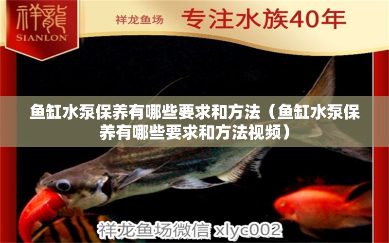 魚缸水泵保養(yǎng)有哪些要求和方法（魚缸水泵保養(yǎng)有哪些要求和方法視頻） 魚缸水泵