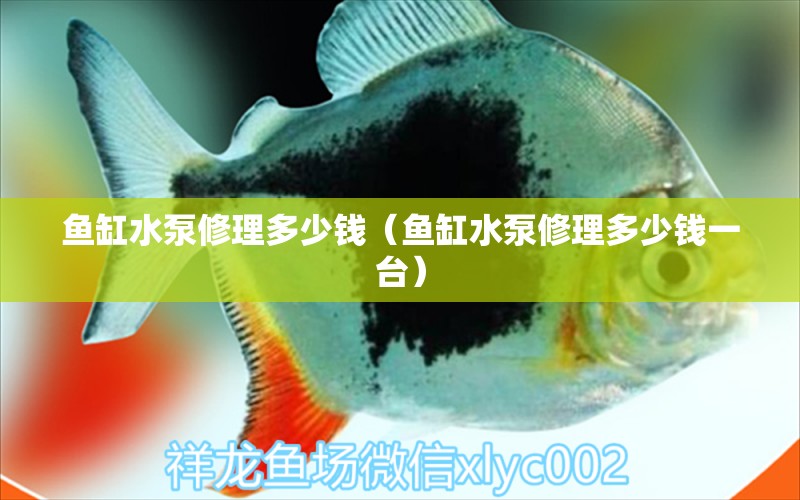 魚缸水泵修理多少錢（魚缸水泵修理多少錢一臺）