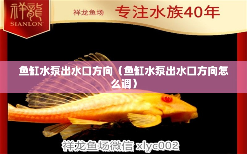 魚缸水泵出水口方向（魚缸水泵出水口方向怎么調(diào)） 魚缸水泵