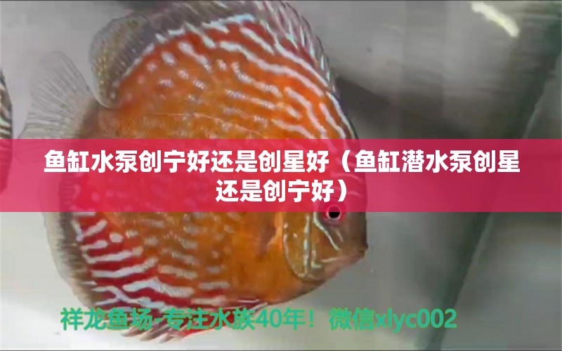 魚(yú)缸水泵創(chuàng)寧好還是創(chuàng)星好（魚(yú)缸潛水泵創(chuàng)星還是創(chuàng)寧好） 創(chuàng)寧水族