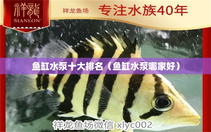 魚缸水泵十大排名（魚缸水泵哪家好） 魚缸水泵