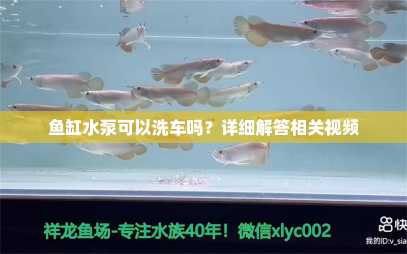 魚缸水泵可以洗車嗎？詳細解答相關視頻 魚缸水泵