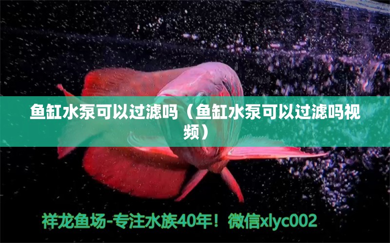 魚缸水泵可以過濾嗎（魚缸水泵可以過濾嗎視頻） 魚缸水泵