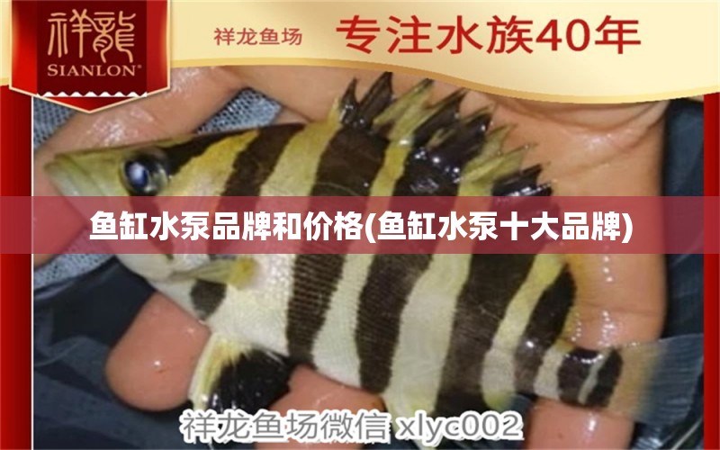 魚缸水泵品牌和價格(魚缸水泵十大品牌) 魚缸水泵