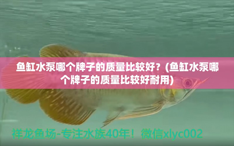 魚(yú)缸水泵哪個(gè)牌子的質(zhì)量比較好？(魚(yú)缸水泵哪個(gè)牌子的質(zhì)量比較好耐用) 魚(yú)缸水泵