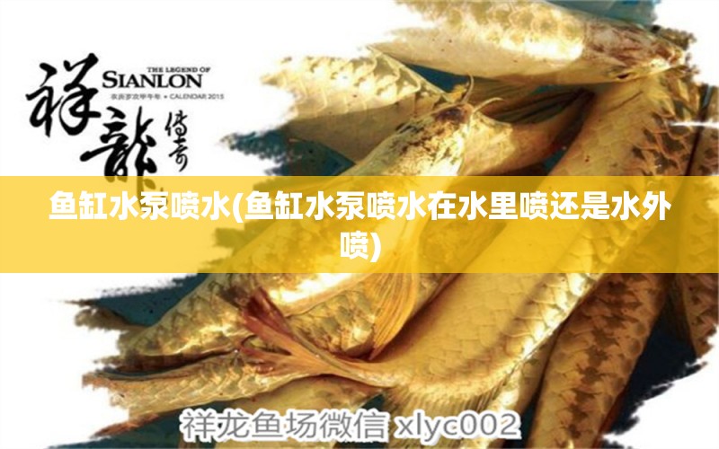 魚缸水泵噴水(魚缸水泵噴水在水里噴還是水外噴) 魚缸水泵