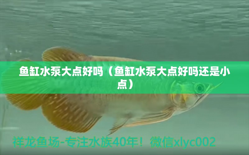 魚缸水泵大點好嗎（魚缸水泵大點好嗎還是小點）