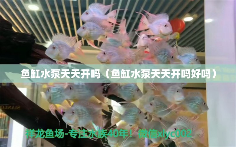 魚缸水泵天天開嗎（魚缸水泵天天開嗎好嗎）