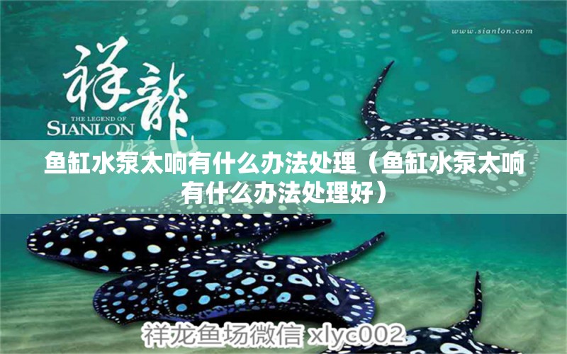 魚(yú)缸水泵太響有什么辦法處理（魚(yú)缸水泵太響有什么辦法處理好） 魚(yú)缸水泵