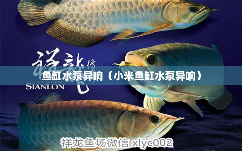 魚(yú)缸水泵異響（小米魚(yú)缸水泵異響）