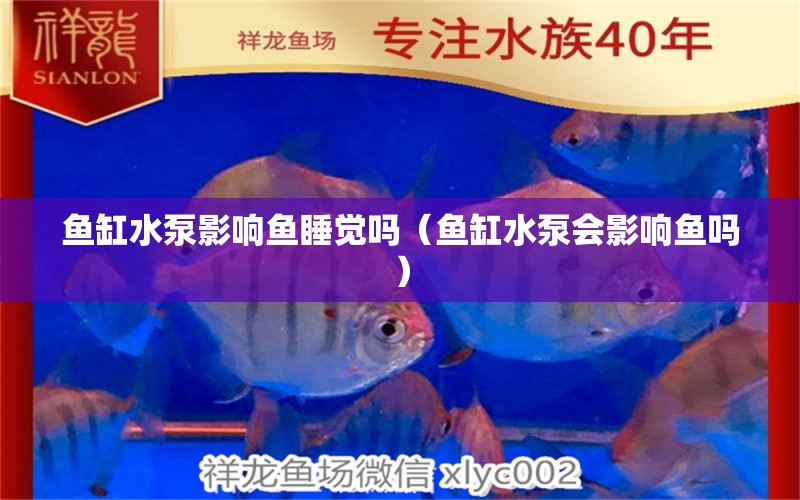 魚缸水泵影響魚睡覺嗎（魚缸水泵會(huì)影響魚嗎） 魚缸水泵