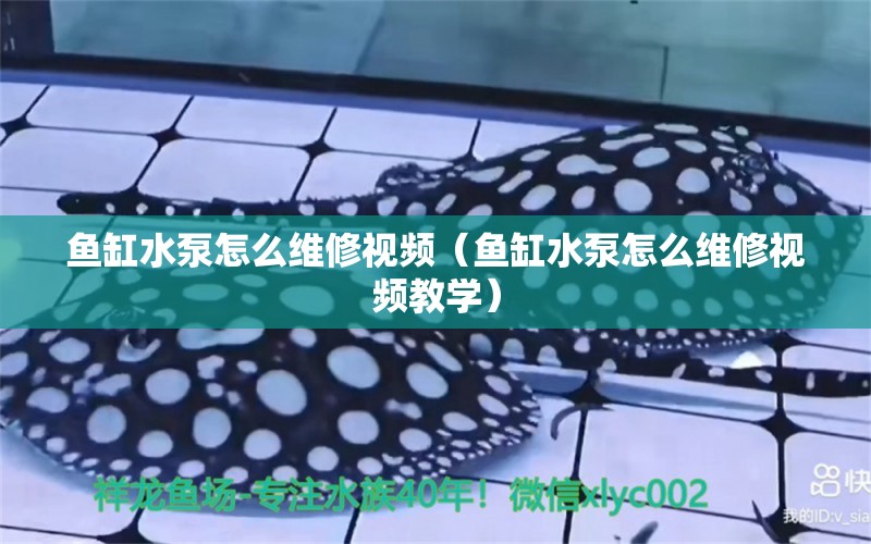 魚缸水泵怎么維修視頻（魚缸水泵怎么維修視頻教學(xué)）