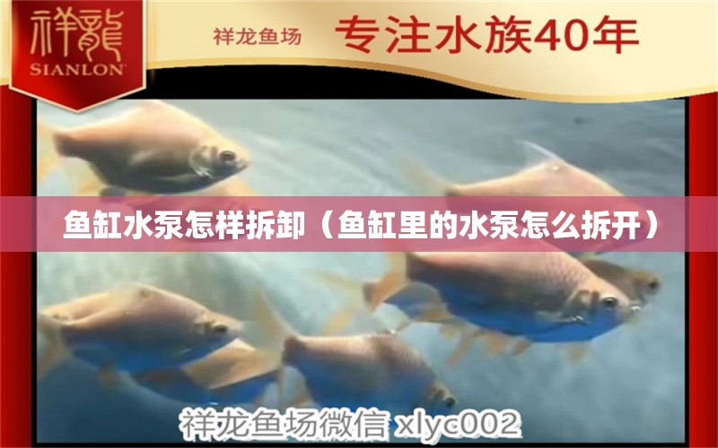 魚缸水泵怎樣拆卸（魚缸里的水泵怎么拆開） 魚缸水泵