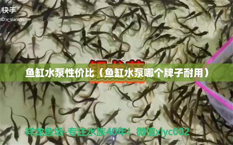 魚缸水泵性價(jià)比（魚缸水泵哪個(gè)牌子耐用） 魚缸水泵