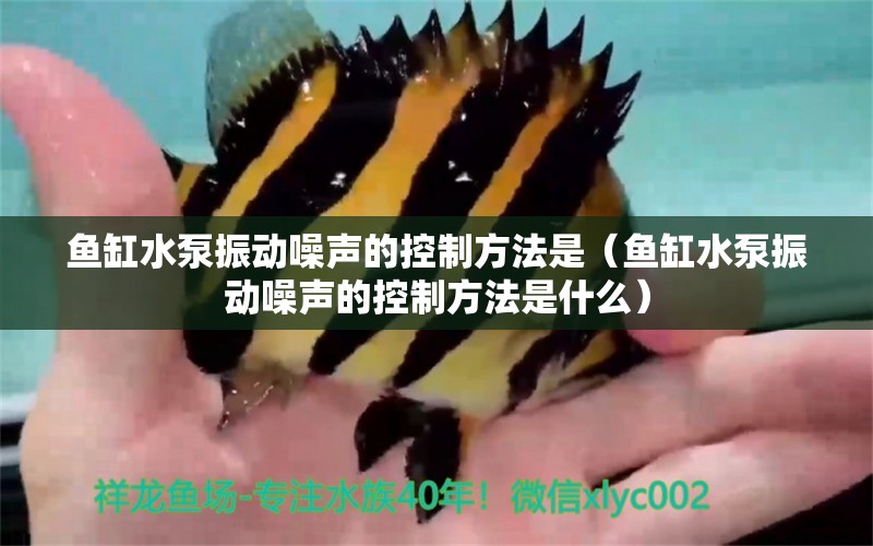 魚缸水泵振動噪聲的控制方法是（魚缸水泵振動噪聲的控制方法是什么）