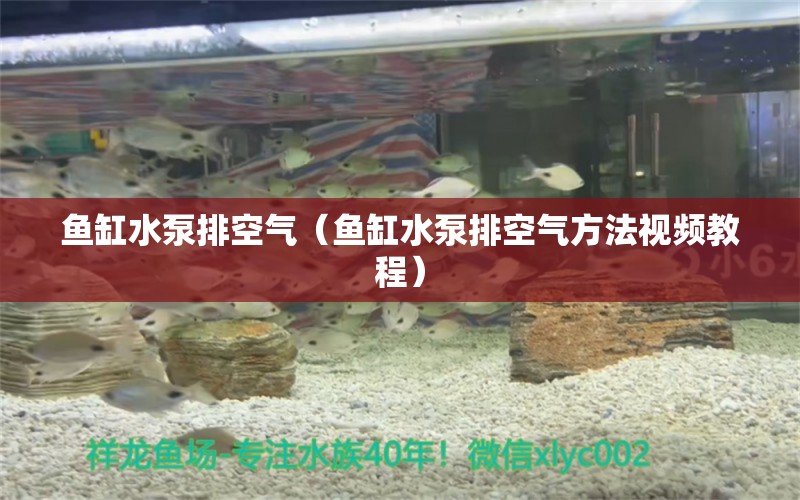 魚(yú)缸水泵排空氣（魚(yú)缸水泵排空氣方法視頻教程）