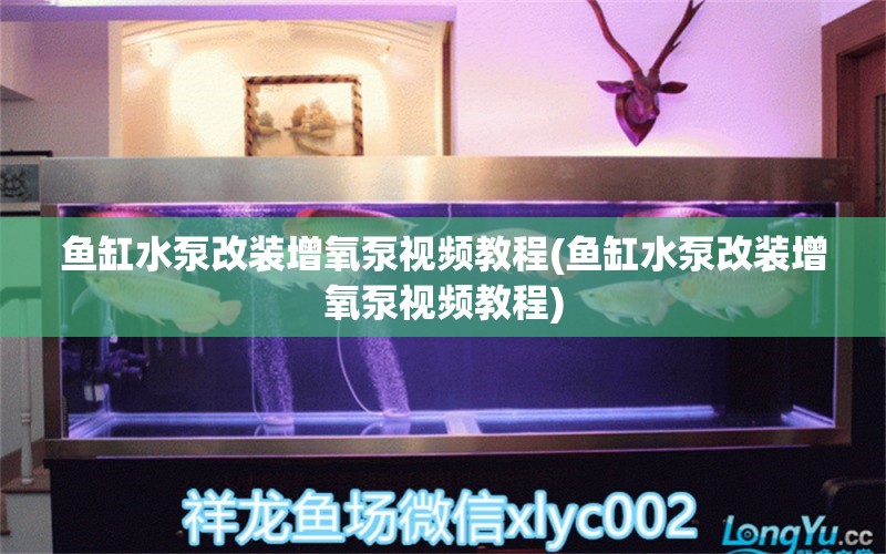 魚缸水泵改裝增氧泵視頻教程(魚缸水泵改裝增氧泵視頻教程) 魚缸水泵