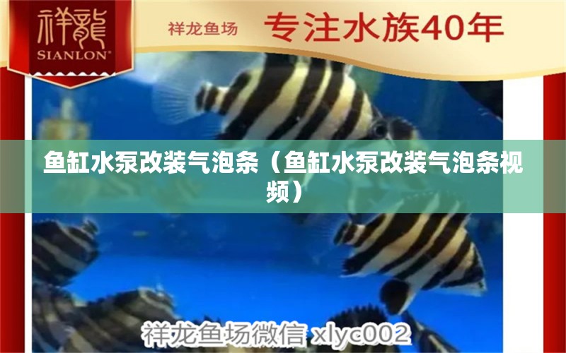 魚缸水泵改裝氣泡條（魚缸水泵改裝氣泡條視頻） 魚缸水泵