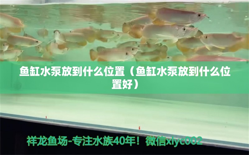 魚缸水泵放到什么位置（魚缸水泵放到什么位置好） 魚缸水泵