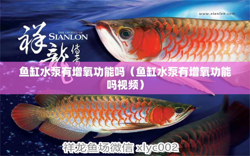 魚缸水泵有增氧功能嗎（魚缸水泵有增氧功能嗎視頻）