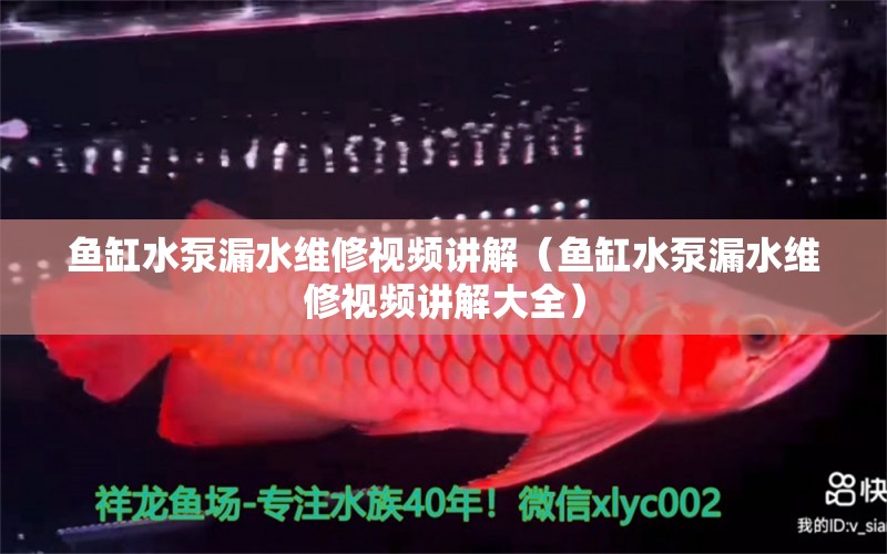 魚缸水泵漏水維修視頻講解（魚缸水泵漏水維修視頻講解大全） 魚缸水泵