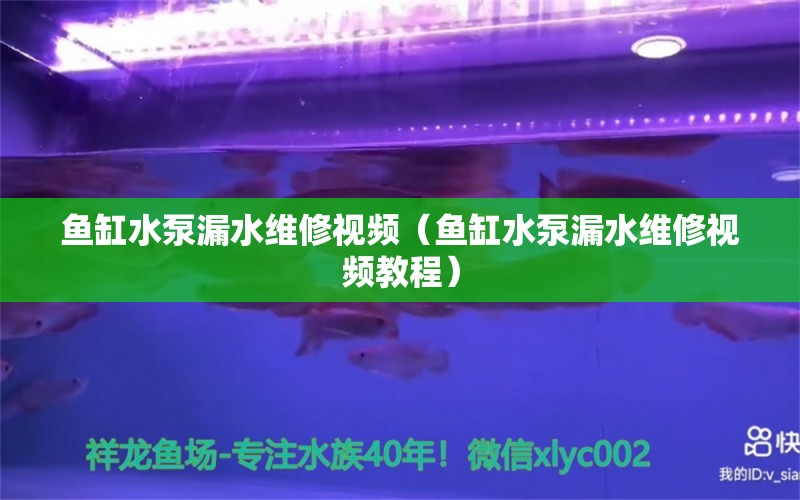 魚缸水泵漏水維修視頻（魚缸水泵漏水維修視頻教程）