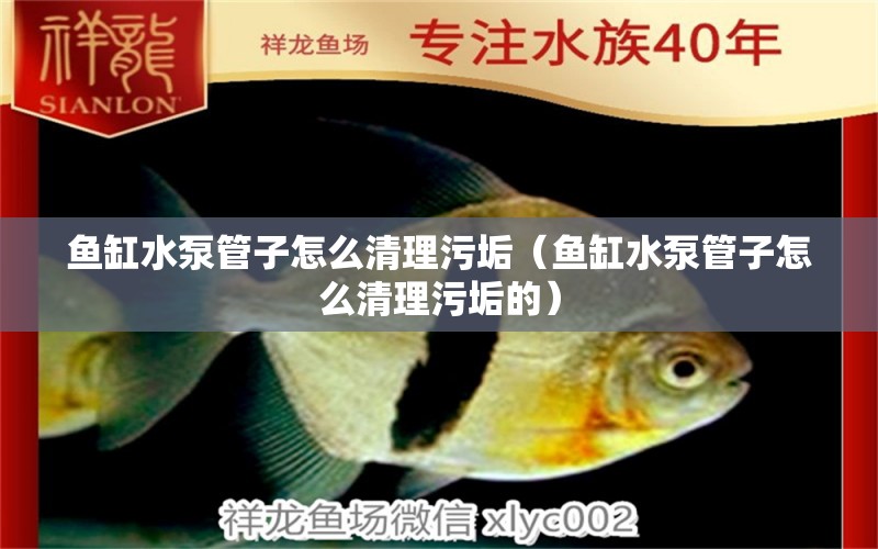 魚(yú)缸水泵管子怎么清理污垢（魚(yú)缸水泵管子怎么清理污垢的） 魚(yú)缸水泵