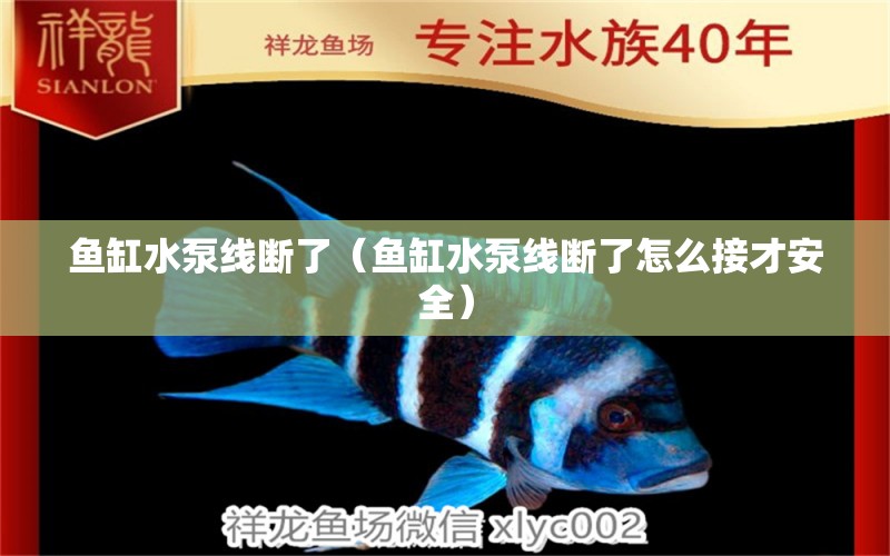 魚缸水泵線斷了（魚缸水泵線斷了怎么接才安全） 魚缸水泵