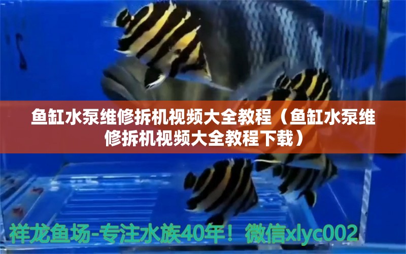 魚缸水泵維修拆機(jī)視頻大全教程（魚缸水泵維修拆機(jī)視頻大全教程下載）