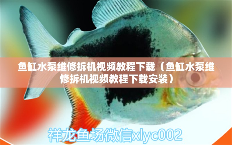 魚缸水泵維修拆機(jī)視頻教程下載（魚缸水泵維修拆機(jī)視頻教程下載安裝） 魚缸水泵