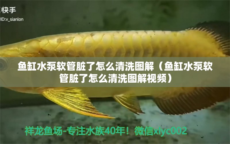 魚缸水泵軟管臟了怎么清洗圖解（魚缸水泵軟管臟了怎么清洗圖解視頻）